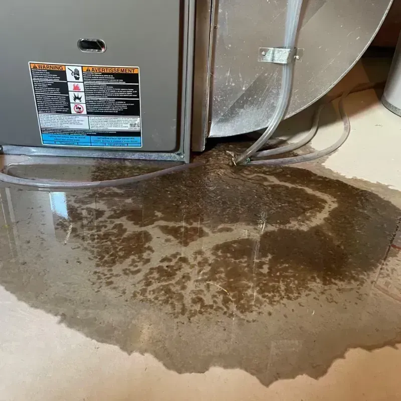 Appliance Leak Cleanup in Harrodsburg, KY